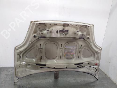 Hood FIAT GRANDE PUNTO (199_) 1.4 (199AXB11, 199AXB1A, 199BXB1A, 199AXL1A) | BP17066998C1