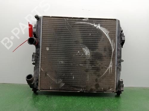 Radiador agua RENAULT KANGOO (KC0/1_) 1.9 dCi 4x4 (84 hp) 31374018