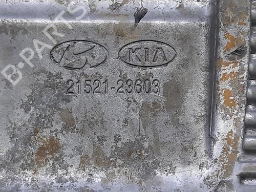 Oil sump HYUNDAI TUCSON (JM) 2.0 | BP14005175M115 
