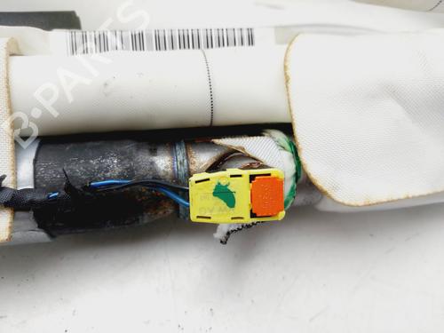 Right curtain airbag VW TIGUAN (5N_)  | BP29390867C12 