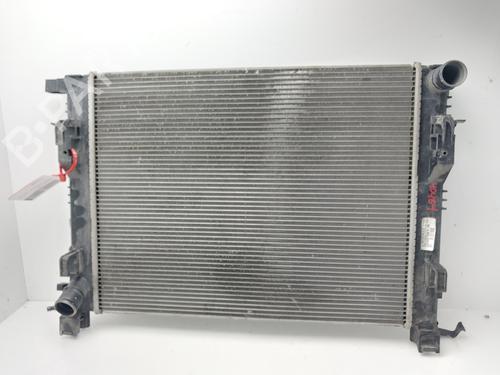 Used Water radiator RENAULT CLIO IV (BH_) [2012-2021]  31210182