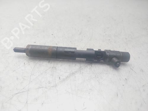 Injector RENAULT SCÉNIC II (JM0/1_)  | BP29497284M100 
