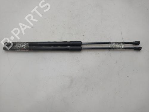 tailgate-lift-support-renault-clio-v-b7_-2019-38202871 main image