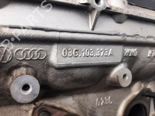 Cylinder head VW PASSAT B6 (3C2)  | BP29834481M5