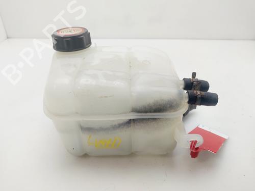 Ekspansjonstank FORD FOCUS I (DAW, DBW) 1.6 16V (100 hp) 30481941