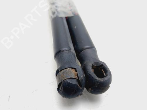 Tailgate lift support SEAT IBIZA III (6L1)  | BP25738975C138 