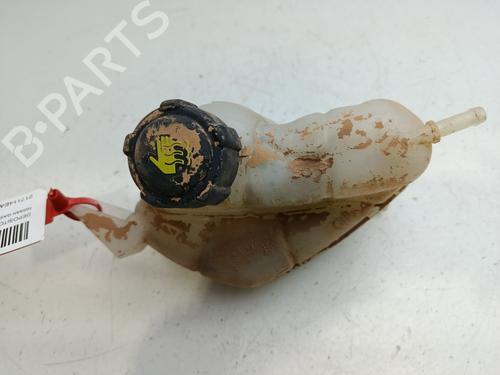 Used Expansion tank NISSAN QASHQAI II (J11, J11_) [2013-2025]  30660695