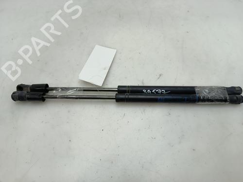 Tailgate lift support OPEL ASTRA H (A04)  | BP29348213C138 