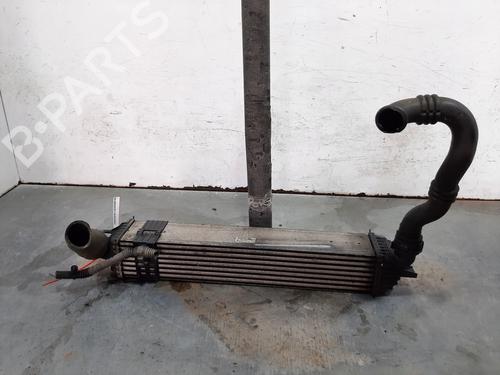 Used Intercooler RENAULT LAGUNA Coupe (DT0/1) 2.0 dCi (DT01, DT08, DT09, DT0K, DT12, DT1C, DT1D, DT1M,... (150 hp) 16147126