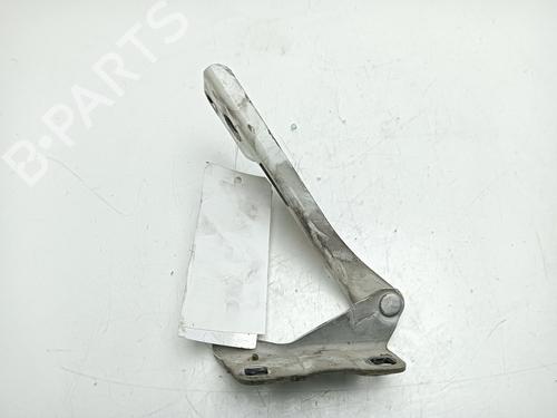 Hinge/Door check strap NISSAN PATHFINDER III (R51)  | BP25924918C146 