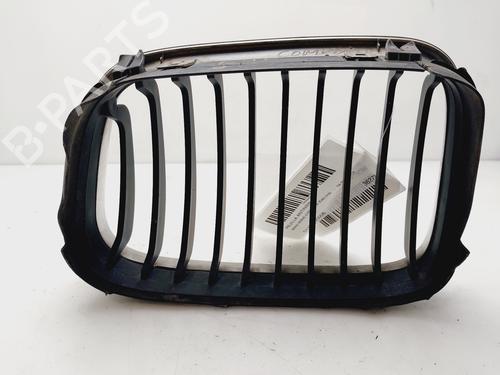 Grille BMW 3 (E46) 318 i | BP22334084C40 