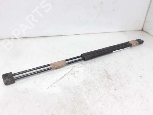 Used Tailgate lift support CITROËN XSARA (N1) 1.9 TD (90 hp) 13994710
