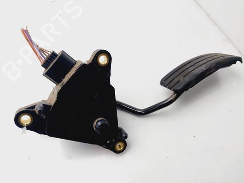Pedal RENAULT MEGANE II (BM0/1_, CM0/1_) 1.5 dCi (BM1E, CM1E) | BP19935314I4 