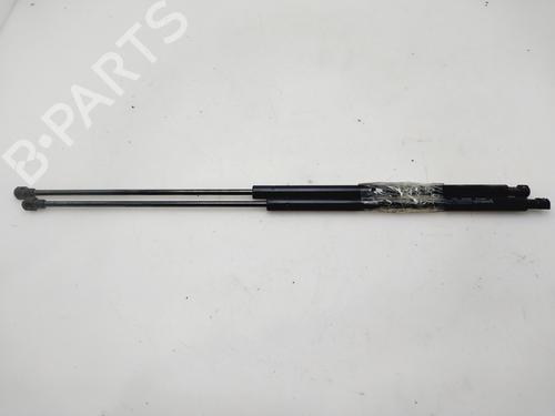 Used Tailgate lift support RENAULT GRAND SCÉNIC III (JZ0/1_) [2009-2016]  32516049