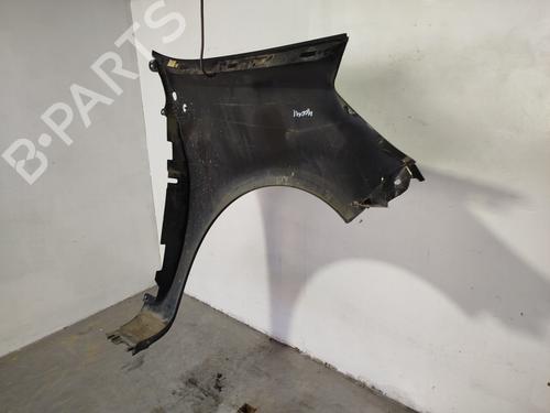 Left front fenders RENAULT CLIO III (BR0/1, CR0/1)  | BP30882371C41 