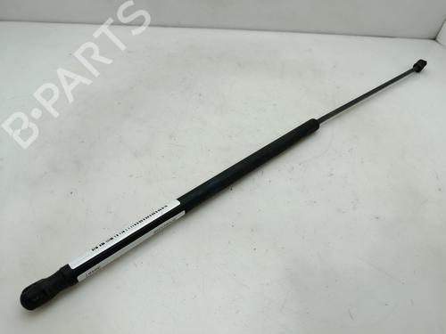 Hood lift support AUDI A3 (8P1) 1.6 FSI | BP29430579C139 
