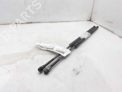Used Tailgate lift support BMW X5 (E53) 3.0 d (184 hp) 13996036