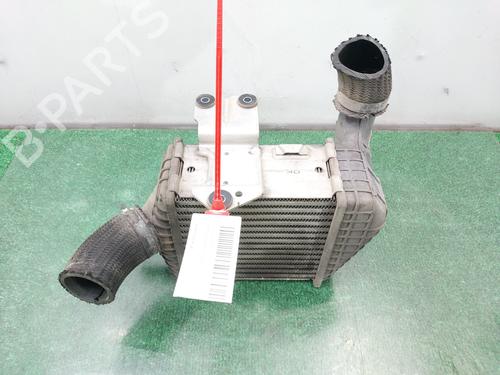 Intercooler KIA SPORTAGE II (JE_, KM_)  | BP12410189M30 