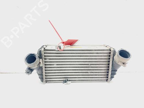Intercooler KIA RIO IV (YB, SC, FB) [2017-2025]  21262542
