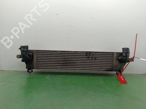 Intercooler NISSAN QASHQAI I (J10, NJ10) [2006-2015]  32256239