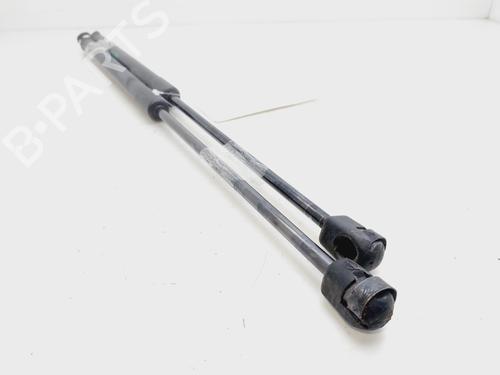 Tailgate lift support FORD FIESTA VI (CB1, CCN) 1.4 TDCi | BP22389581C138 