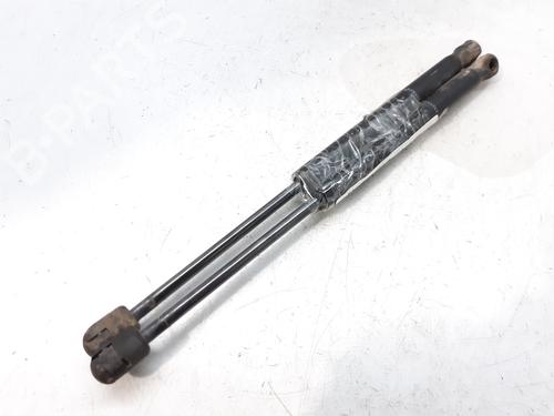 Used Tailgate lift support RENAULT MEGANE II Saloon (LM0/1_) [2003-2025]  14001712