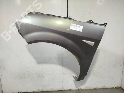 left-front-fenders-renault-scenic-ii-jm01_-2003-2004-2005-2006-2007-2008-2009-2010-38648395 main image