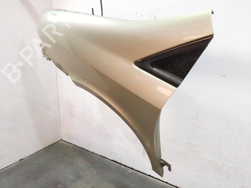 Left front fenders FIAT ULYSSE (179_) 2.2 JTD | BP13623775C41 