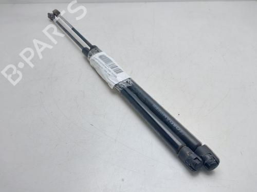 Used Tailgate lift support Tailgate lift support OPEL ANTARA A (L07) [2006-2017] 36019733 36019733