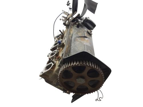 Used Cylinder head SEAT CORDOBA (6K1, 6K2) 1.4 i (60 hp) 21096319