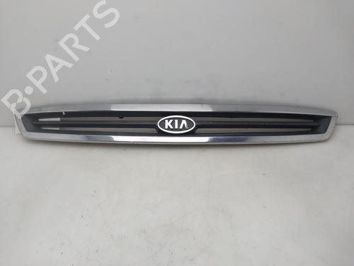 Used Grille Grille 38784657 38784657