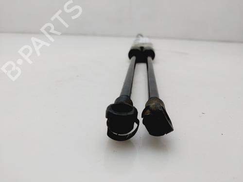 Tailgate lift support AUDI A4 B7 Avant (8ED)  | BP24496878C138 