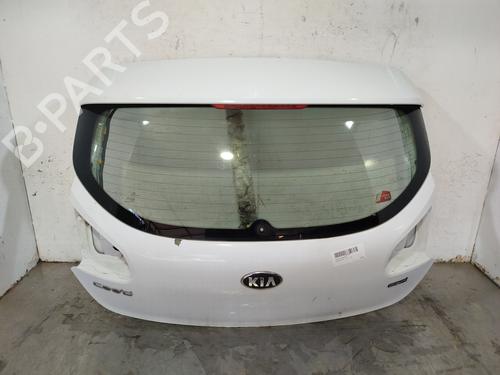 Used Tailgate Tailgate 39385607 39385607