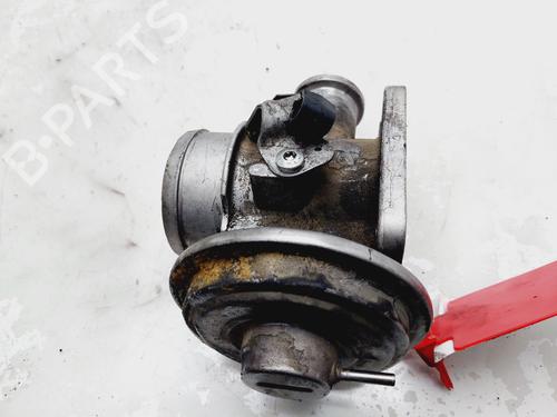 Egr BMW 5 (E39) 520 d | BP19575534M69 