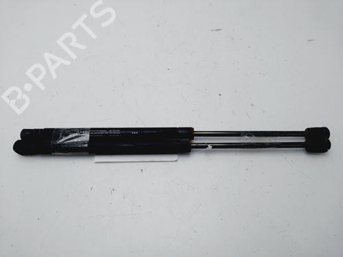 Tailgate lift support CHEVROLET AVEO / KALOS Hatchback (T200) 1.4 16V | BP23648690C138 