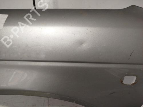 Left front fenders SUZUKI BALENO Hatchback (EG) 1.9 TD (SY419) | BP29982069C41
