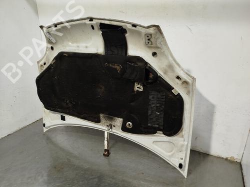 Hood RENAULT KANGOO (KC0/1_) 1.9 dCi 4x4 | BP32162311C1