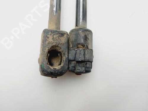 Tailgate lift support VW GOLF IV (1J1)  | BP29908784C138 