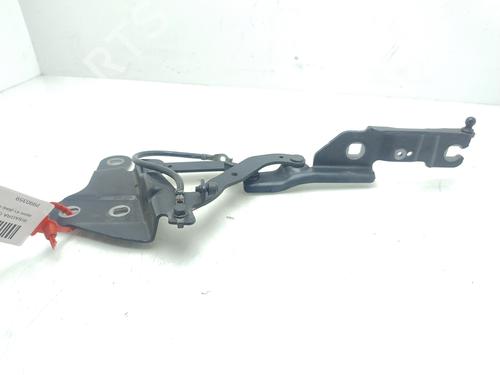 Hinge/Door check strap BMW X1 (E84) sDrive 20 d | BP22365280C146 