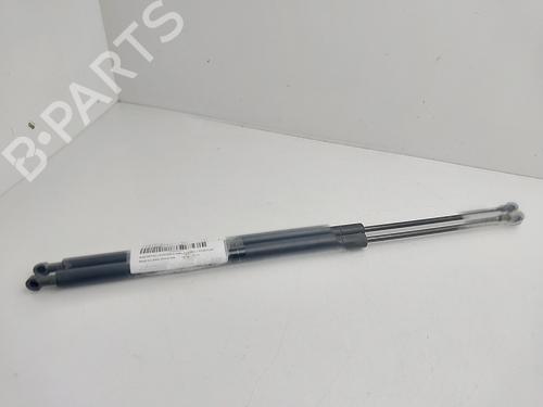 tailgate-lift-support-bmw-x3-e83-2003-2004-2005-2006-2007-2008-2009-2010-2011-34343612 main image