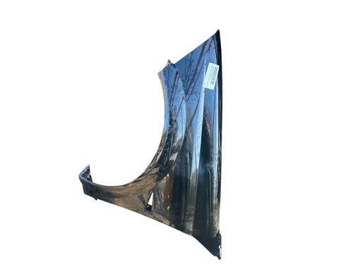 Left front fenders RENAULT MEGANE II Coupé-Cabriolet (EM0/1_)  | BP25844916C41 