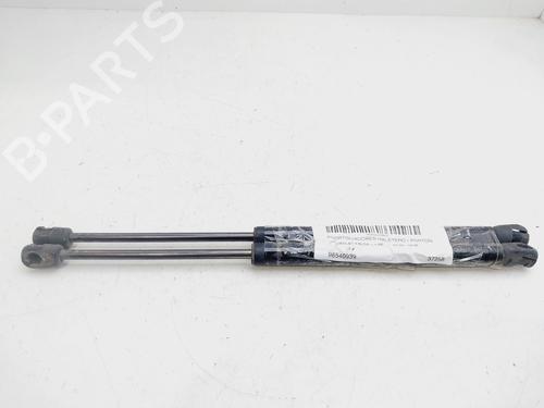 Used Tailgate lift support CHEVROLET AVEO / KALOS Hatchback (T200) 1.4 16V (94 hp) 23648747