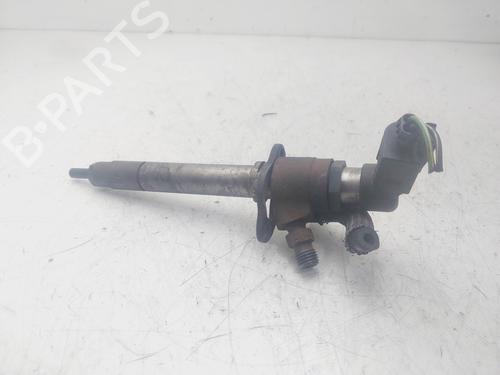 Injector LAND ROVER RANGE ROVER SPORT I (L320)  | BP29452497M100 