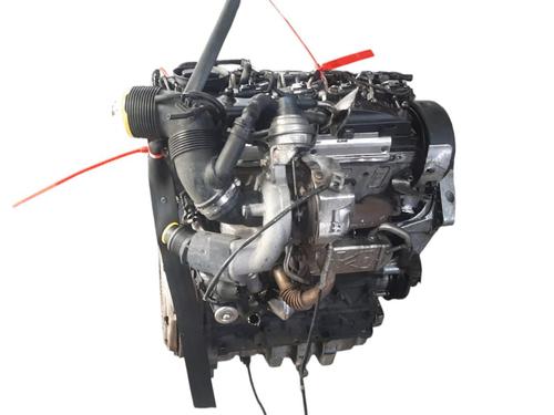Engine SKODA OCTAVIA II (1Z3) 1.6 TDI | BP29329397M1