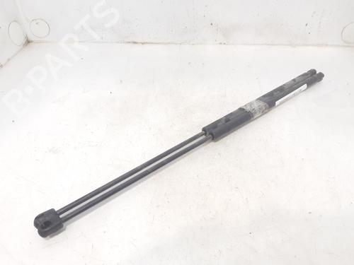 Used Tailgate lift support FORD FIESTA V (JH_, JD_) 1.6 16V (100 hp) 14002392