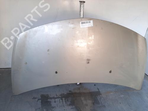 Hood RENAULT CLIO III (BR0/1, CR0/1) 1.4 16V | BP11732375C1 