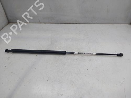 Used Hood lift support CITROËN XSARA Coupe (N0) 2.0 HDI 90 (90 hp) 17051063