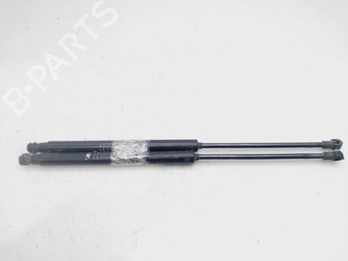 Tailgate lift support OPEL MERIVA B MPV (S10)  | BP29719299C138 