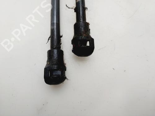 Tailgate lift support CITROËN XSARA PICASSO (N68) 1.6 HDi | BP29982161C138
