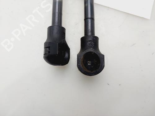 Tailgate lift support DACIA LODGY (JS_) | BP31316392C138